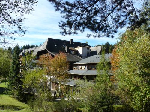 Hornberg-Niederwasser Allemagne code promo Booking.com