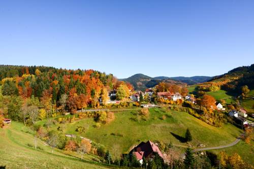 Schlechter Peterstal-Griesbach Deutschland Promo-Code Booking.com