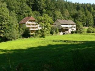 Tiefenbronn Germany Promo Code Agoda.com