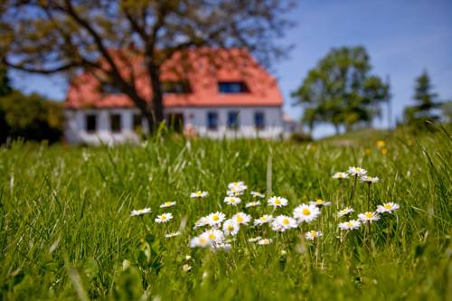 Putbus Allemagne code promo Booking.com