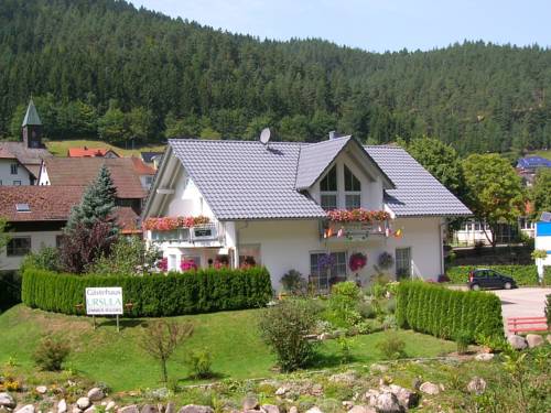 Hornberg-Niederwasser Allemagne code promo Booking.com