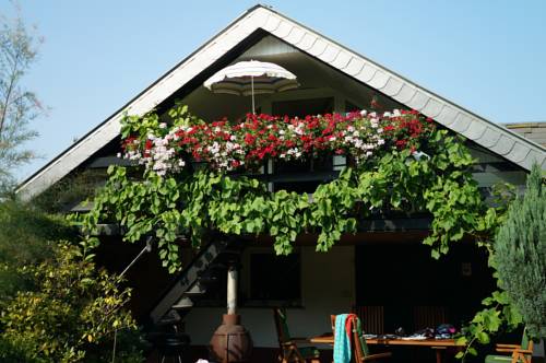Potsdam Germany Promo Code Booking.com