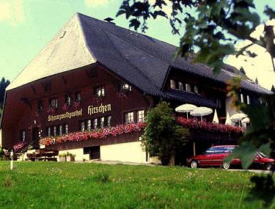 Ibach-Mutterslehen bei St.Blasien Duitsland promotiecode Booking.com