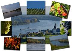 Guntersblum Allemagne code promo Booking.com