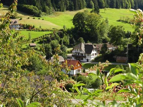 Bad Rippoldsau-Schapbach Duitsland promotiecode Booking.com