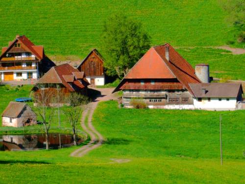 Hornberg Ot Reichenbach Allemagne code promo Booking.com