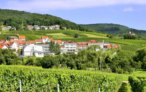 Gleiszellen Duitsland promotiecode Booking.com