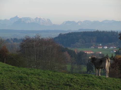 Altusried Codice promo Germania Booking.com