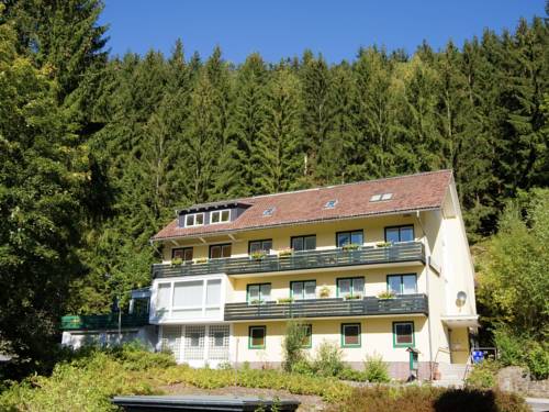 Wildemann Codice promo Germania Booking.com