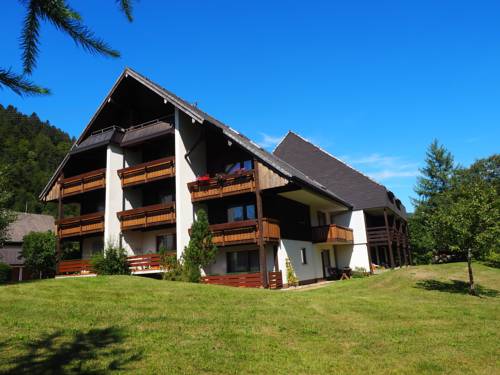 Menzenschwand Hinterdorf Código promocional Alemania Booking.com