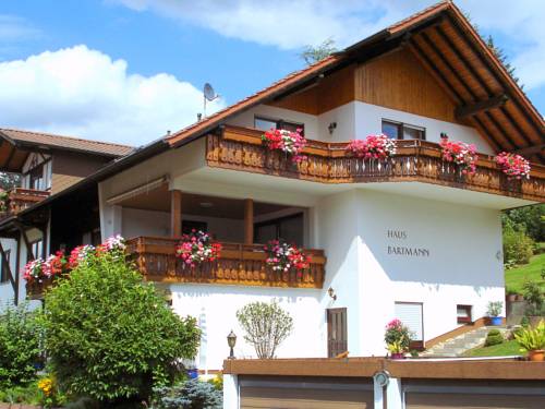 Beerfelden Codice promo Germania Booking.com