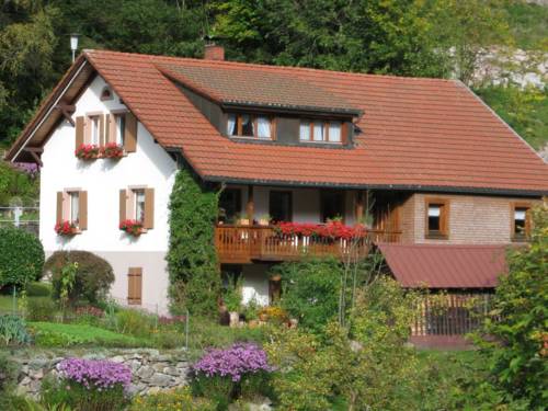 Todtnau Codice promo Germania Booking.com