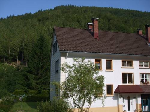 Todtnau-Brandenberg Código promocional Alemania Booking.com