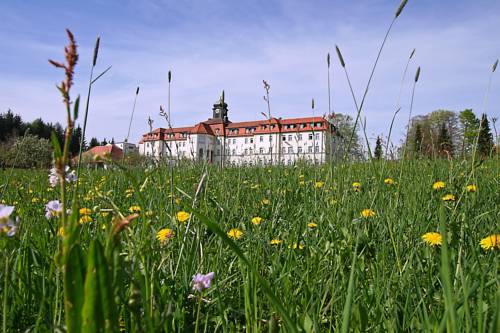 Perasdorf Codice promo Germania Booking.com