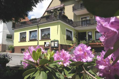 Gras-Ellenbach Código promocional Alemania Booking.com