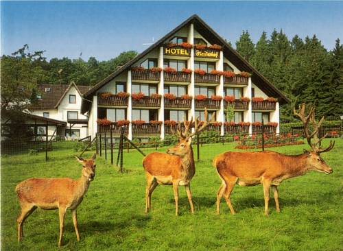 Obersteinebach Código promocional Alemania Booking.com