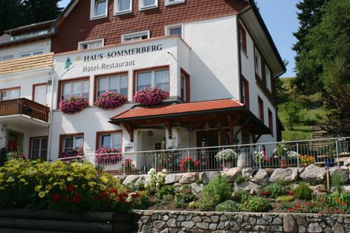 Feldberg-Altglashütten Código promocional Alemania Booking.com