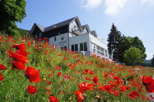 Olsberg Codice promo Germania Booking.com