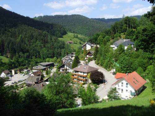 Bad Rippoldsau Schapbach Codice promo Germania Booking.com