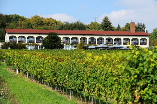 Freyburg Codice promo Germania Booking.com