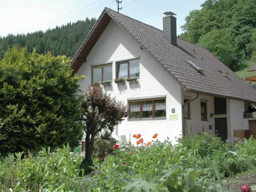 Bad Rippoldsau Schapbach Codice promo Germania Booking.com