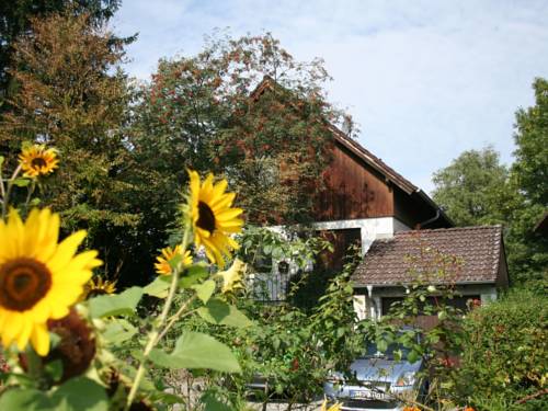 Moos Codice promo Germania Booking.com