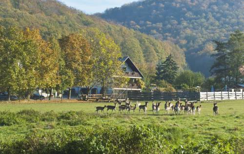 Handthal Codice promo Germania Booking.com