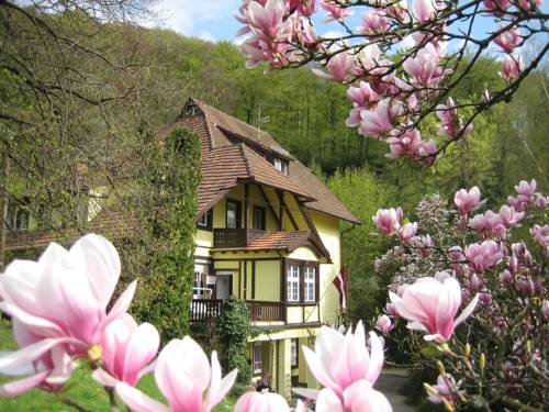 Friburgo in Brisgovia Codice promo Germania Booking.com