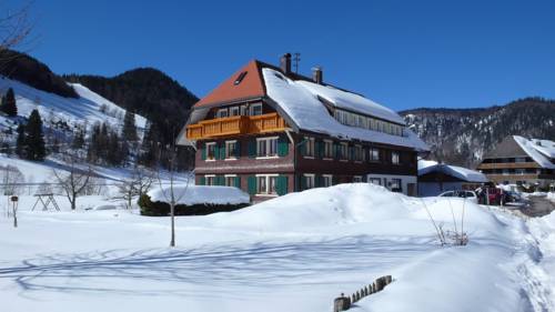 Menzenschwand Codice promo Germania Booking.com