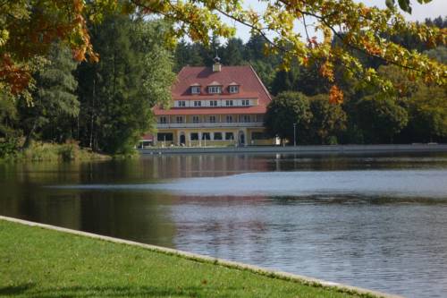 Lindenberg Código promocional Alemania Booking.com