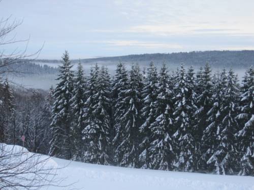 Winterberg-Langewiese Codice promo Germania Booking.com