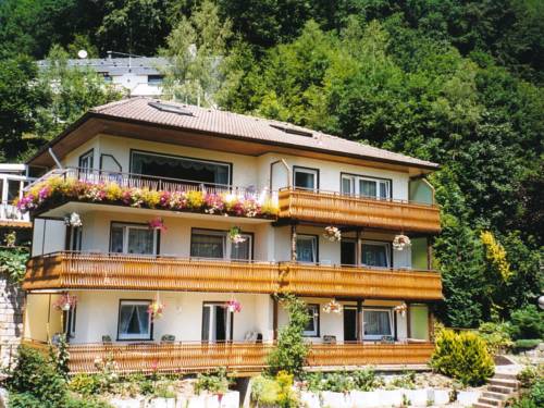Bad Rippoldsau Schapbach Codice promo Germania Booking.com