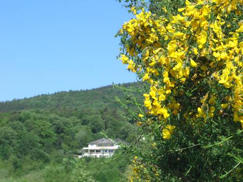 Oestrich-Winkel (Hallgarten) Codice promo Germania Booking.com