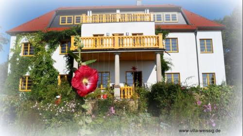Struppen Codice promo Germania Booking.com