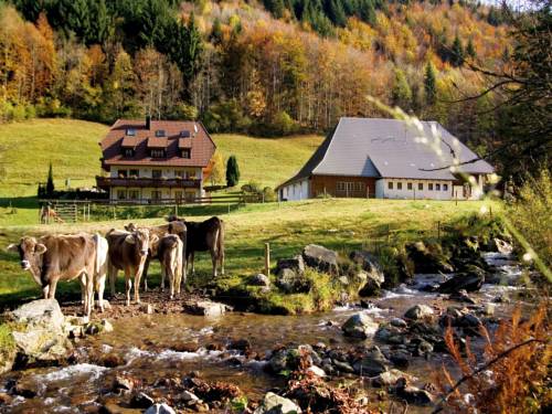 Oberried Código promocional Alemania Booking.com