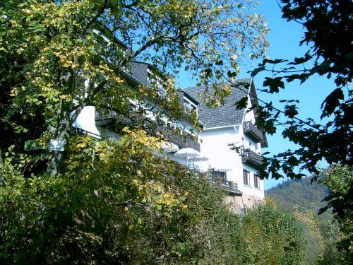 Manderscheid Codice promo Germania Booking.com