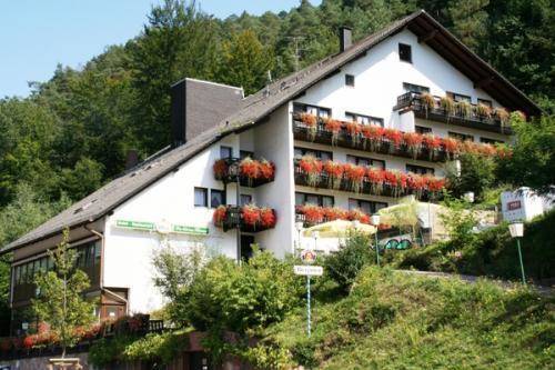 Erfweiler bei Dahn Código promocional Alemania Booking.com