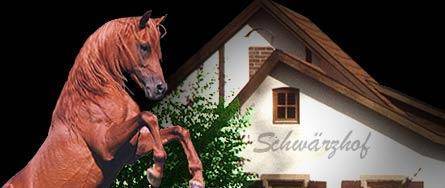 Kulmbach-Metzdorf Codice promo Germania Booking.com