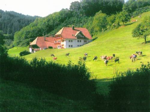 Hofstetten Código promocional Alemania Booking.com