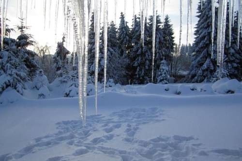 Willingen-Usseln Codice promo Germania Booking.com