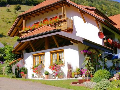 Todtnau Codice promo Germania Booking.com