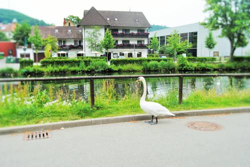 Nagold Codice promo Germania Booking.com