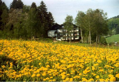 Wald-Michelbach Codice promo Germania Booking.com